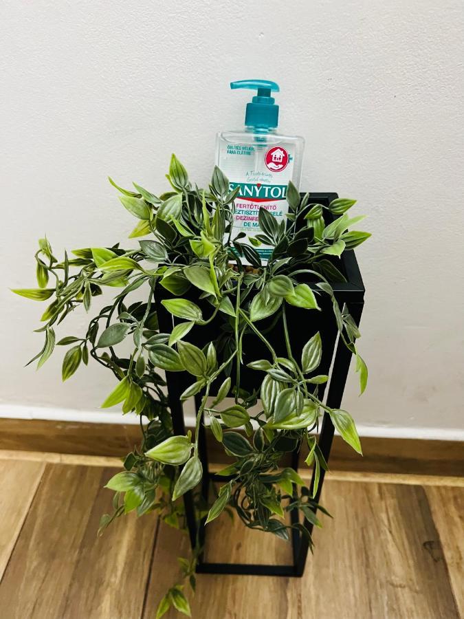 Altheda Living Tineretului E8 Apartment Suceava Luaran gambar